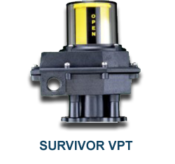 survivor_175-2
